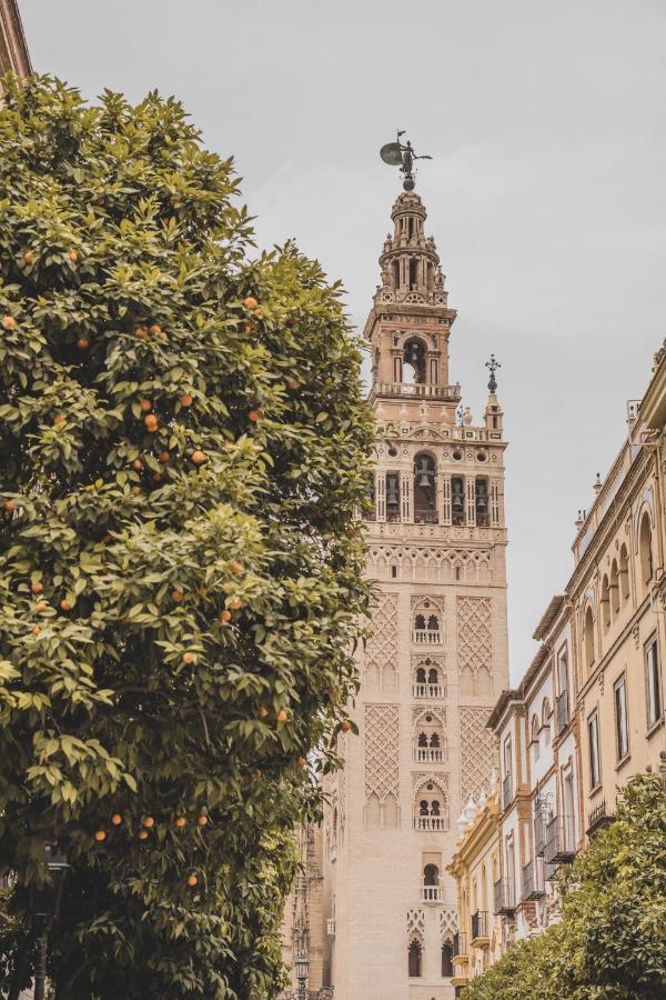 Apartamento Jardin De Santa Paula Sevilla Exteriér fotografie