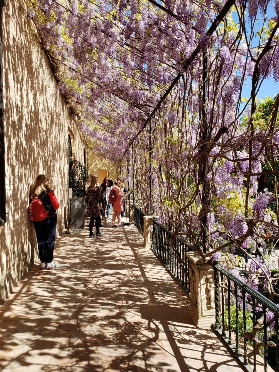 Apartamento Jardin De Santa Paula Sevilla Exteriér fotografie